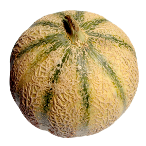 Melon PNG-14373